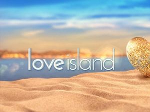 Supporting image for story: Love Island 2020: The male contestants