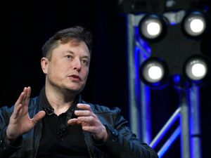 Supporting image for story: Elon Musk unveils brain-reading chip in pigs