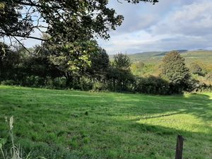 Supporting image for story: 'Is it government policy is to destroy the countryside?' - Your Letters: December 26