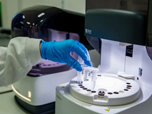 Supporting image for story: Surge testing in Sandwell and Birmingham after confirmed case of South African variant