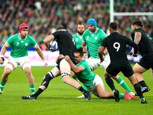 Supporting image for story: Ireland to face New Zealand and Australia during autumn series