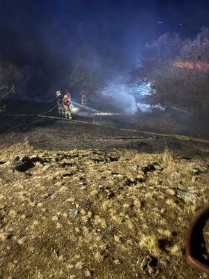 Fire teams from across the county battled a wildfire on Haughmond Hill. Picture: Tweedale Fire Station