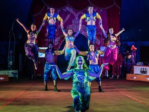 Supporting image for story: Free circus tickets on offer for disadvantaged youngsters