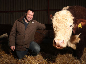 Supporting image for story: NFU Shropshire members talk food production, climate and the environment