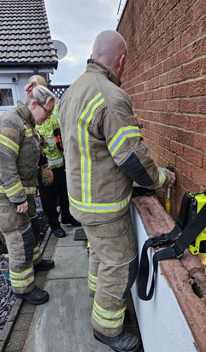 Firefighters work to try and free Sox the cat