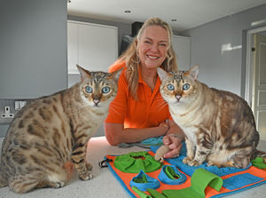 Supporting image for story: Meet the cat behaviourist from Gnosall who is helping to improve the human-feline bond