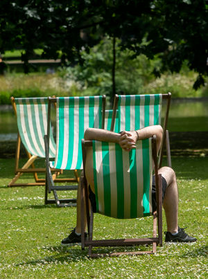 It's the perfect weather for an afternoon in the park