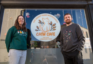 B&DWM & BWM - UnSug-DWH-CatCafe-12122025-32 - CATW strives to help the cats of Whitchurch