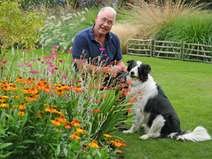 Supporting image for story: Spectacular three-acre garden to be unveiled in Kingswinford