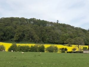 Supporting image for story: Village homes plans get go ahead