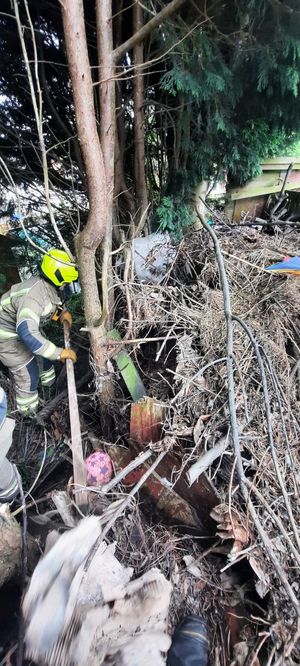 The dog was stuck under a mountain of rubble
