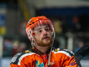 Supporting image for story: Telford Tigers shore up defensive line