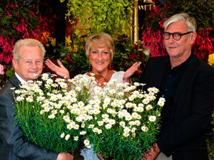 Supporting image for story: Thousands set to descend on flower show