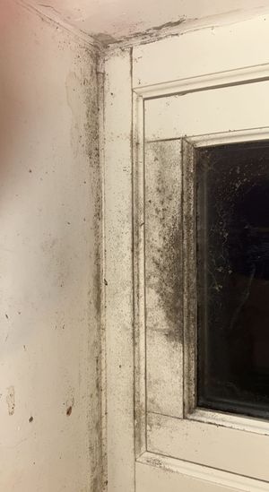 Chloe and her daughter are one of an estimated 120,000 households in social housing that has a problem with condesation and mould