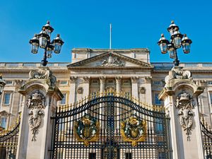 Supporting image for story: Woman charged over alleged Buckingham Palace bomb hoax ‘unfit to stand trial’