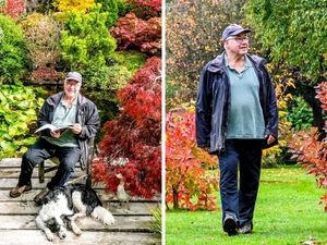 Supporting image for story: Explore spectacular 10-acre West Midlands exploding into autumn with vibrant orange, red and yellow flowers
