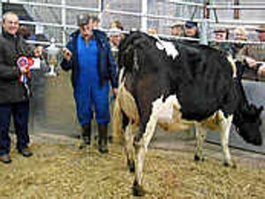 Supporting image for story: Sale sees excellent entry