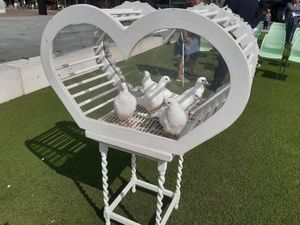 Six doves were released at the end of the ceremony. Picture: LDRS