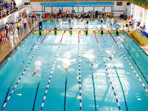 Supporting image for story: Debate over Shrewsbury's Quarry swimming pool future is welcomed