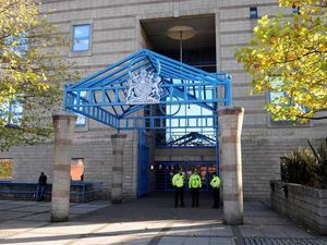 Supporting image for story: Wolverhampton benefits cheat mum avoids jail 'by a cat’s whisker’