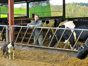 Supporting image for story: Environment Secretary in pledge to Shropshire farmers over milk cash row