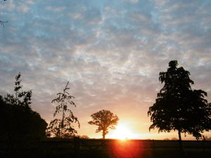 Supporting image for story: Watch the weather forecast if you're heading out to an event in Shropshire - including the county show