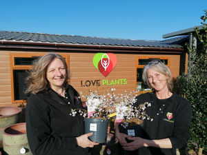 Supporting image for story: Shrewsbury’s specialist plants centre welcomes new recruits