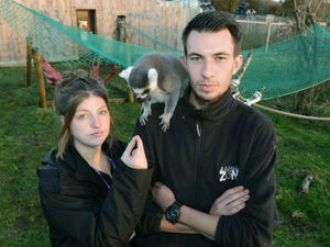 Supporting image for story: Fundraising appeal as South Staffordshire zoo break-in leaves workers devastated