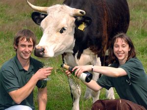 Ben Hollins and sister Charlotte at Fordhall Farm, near Market Drayton