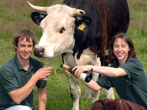 Supporting image for story: Shropshire farm eviction 'a threat to spring fair'