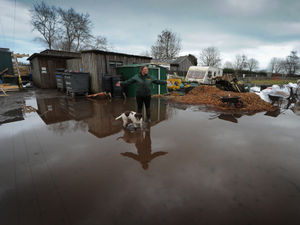 Supporting image for story: 'We can’t fight without you': Fundraising page launched for wildlife centre hit by flooding