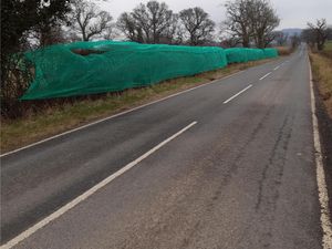 Supporting image for story: Concerns raised over hedgerow netting at planned Crematorium site
