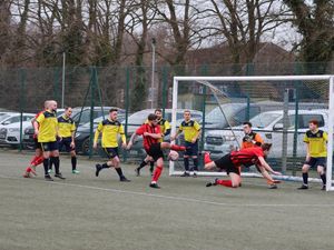 Supporting image for story: Hodge bags a double as Ludlow are held at home