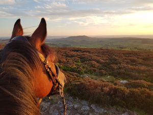 Supporting image for story: South Shropshire town named as one of UK's top 10 horse-friendly holiday hotspots