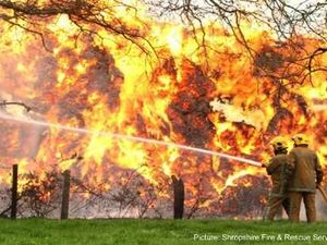 Supporting image for story: Woodseaves biomass fire 'of doubtful origin'