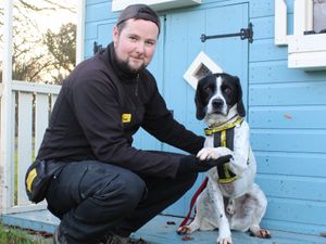 Supporting image for story: Shrewsbury charity finds homes for 920 dogs