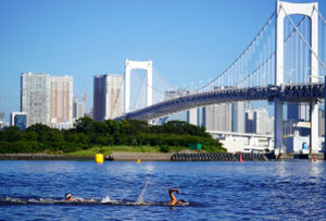 Swimmers during the Men's 10km Marathon Swimming race at Odaiba Marine Park