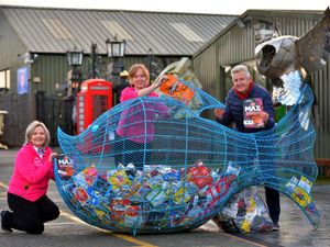Supporting image for story: Crisp packets are life-savers with help of Coral the Clown Fish  