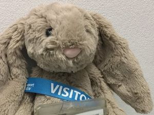Supporting image for story: Sydney Trains reunited this lost toy bunny with its owner and it's going to fill you with joy