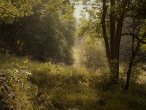 Supporting image for story: New nature reserve to be designated in Church Stretton