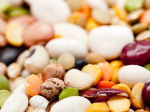 Supporting image for story: Beans and peas are better than veggie burgers and plant milks, researchers say