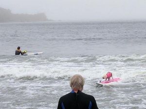 Supporting image for story: You’re bound to find this BBC News presenter’s unenthusiastic report on surfing dogs hilarious