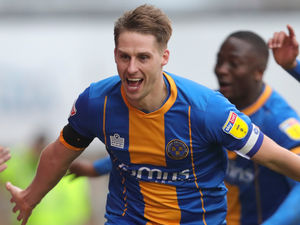 Supporting image for story: Shrewsbury's Dave Edwards: I felt like getting back to where I need to be