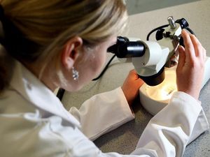 Supporting image for story: Advanced form of fatty liver disease ‘affecting up to 12% of Britons’