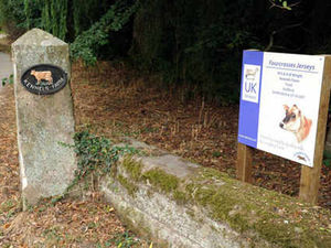 Supporting image for story: Farmer may be able to keep 'outsized' sign