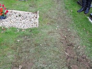 Supporting image for story: Fury after council workers damage graves