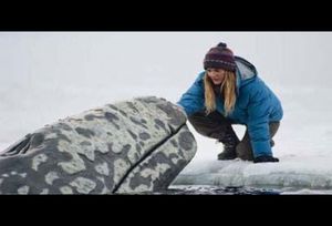 Supporting image for story: Big Miracle