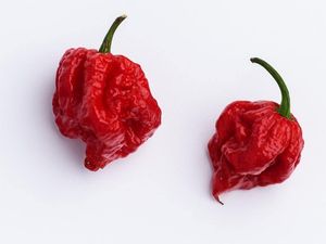 Supporting image for story: Man suffers ‘thunderclap’ headaches after eating world’s hottest chilli