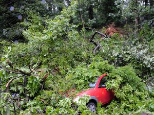 Supporting image for story: Tree crashes onto cars outside Bridgnorth cemetery