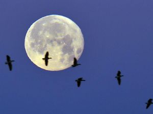 Supporting image for story: 2018 will start with a brilliant New Year’s Day Supermoon